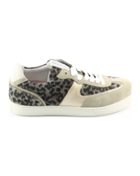 Floris van Bommel SFW-10096 Taupe