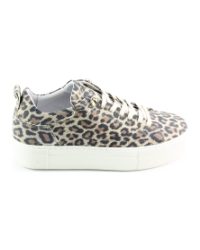 Red Rag 74402 BRUIN MULTI