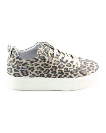 Red Rag 74402 sneakers bruin multi