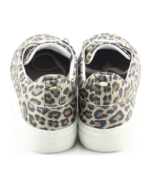 Red Rag 74402 BRUIN MULTI