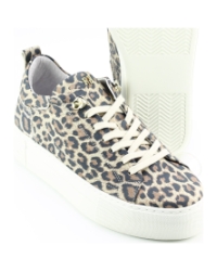 Red Rag 74402 BRUIN MULTI