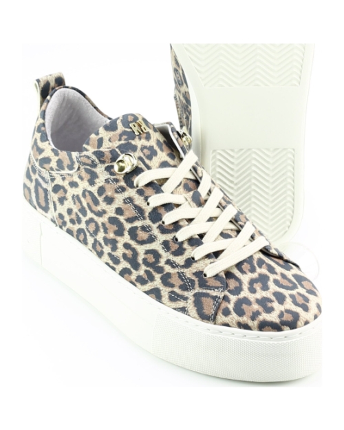 Red Rag 74402 BRUIN MULTI