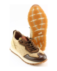 Hispanitas 254209 BRUIN MULTI