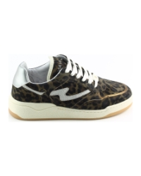 Via Vai 62026 Sam Levi Groen