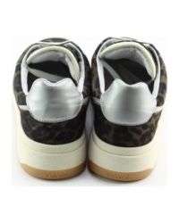 Via Vai 62026 Sam Levi Groen