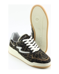 Via Vai 62026 Sam Levi Groen