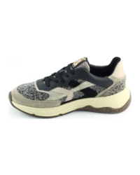 Floris van Bommel Holli 01.00 SFW-10154 Taupe