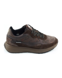 Floris van Bommel Suvi 05.04 SFW-10162 BRUIN
