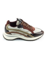 Via Vai Usher Lott 62478 BRUIN MULTI