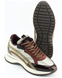 Via Vai Usher Lott 62478 BRUIN MULTI
