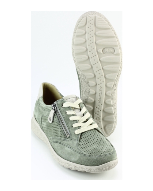 Hartjes 162.1604 rap Groen