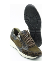 Durea 6295 605 BRUIN