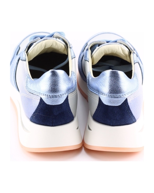 DL Sport 6562 BLAUW MULTI