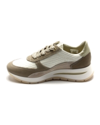 DL Sport 6561 BEIGE MULTI