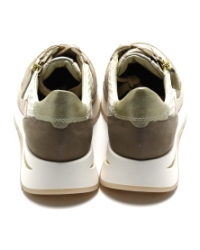 DL Sport 6561 BEIGE MULTI