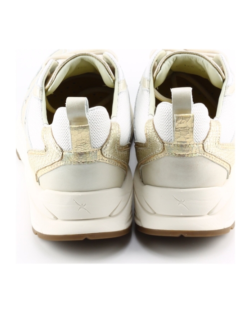 Xsensible 33003.5 Beige