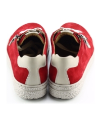 Hartjes 162.1401 phil Rood