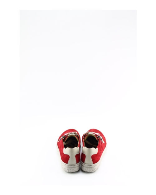 Hartjes 162.1401 phil Rood