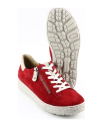 Hartjes 162.1401 phil Rood