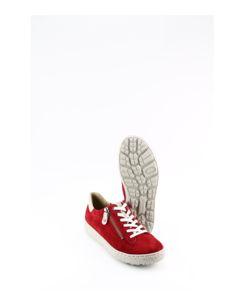 Hartjes 162.1401 phil Rood