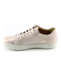 Hartjes 162.1402  phil shoe Goud