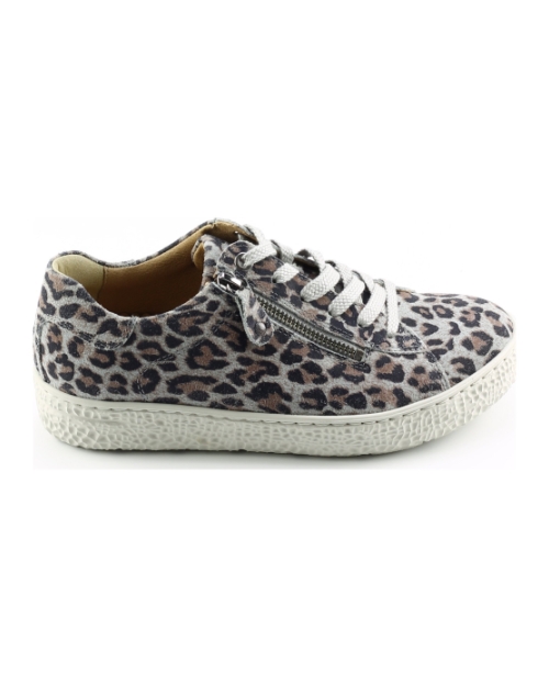 Hartjes 162.1401 phil BRUIN MULTI