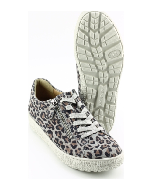 Hartjes 162.1401 phil BRUIN MULTI