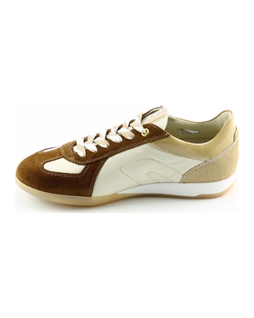 DL Sport 6944 BRUIN MULTI