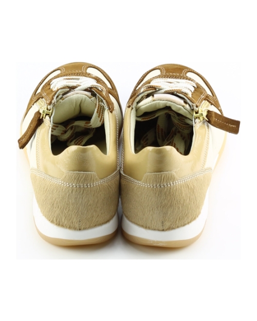 DL Sport 6944 BRUIN MULTI