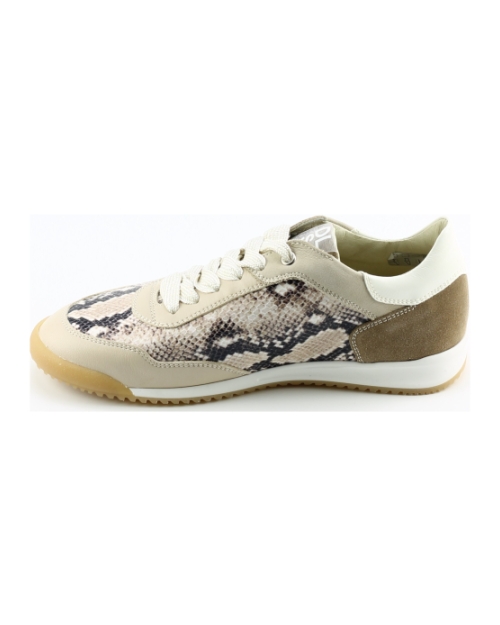 DL Sport 6952 BEIGE MULTI