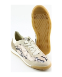 DL Sport 6952 BEIGE MULTI