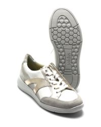 Solidus 65029 BEIGE MULTI