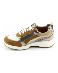 Xsensible 30222.3 BRUIN MULTI