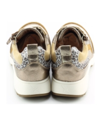 Xsensible 30222.3 BRUIN MULTI