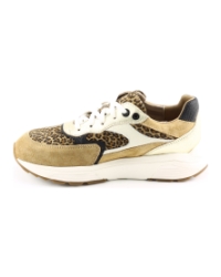 Xsensible 33002.4 Taupe