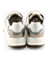 Xsensible 33011.3 Brons