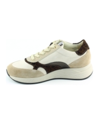 DL Sport 7132 722 BEIGE MULTI