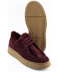 DL Sport 7110 Bordeaux