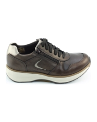 Xsensible New Jersey 30150.3 BRUIN