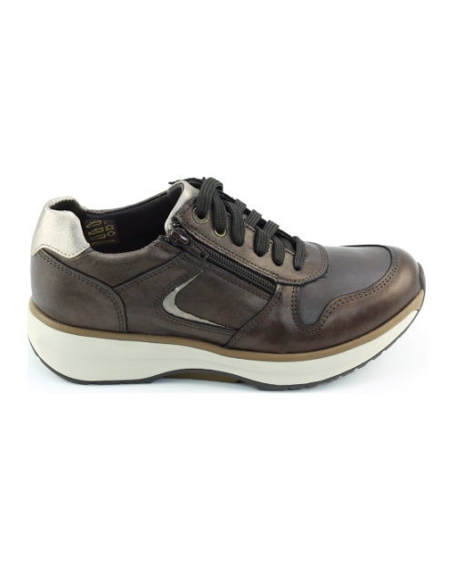 Xsensible New Jersey 30150.3 BRUIN