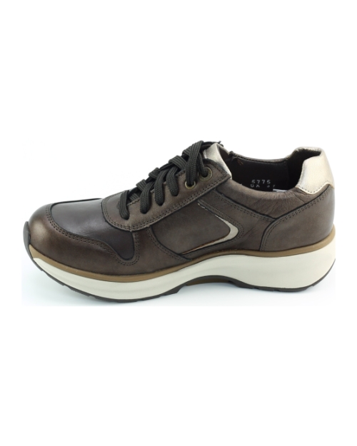 Xsensible New Jersey 30150.3 BRUIN