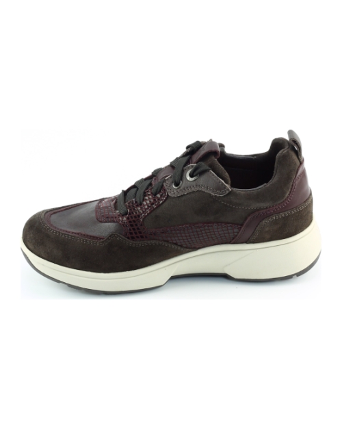 Xsensible Grenoble 30215.3 BRUIN MULTI