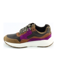 Xsensible Golden Gate Lady 33000.3 cognac