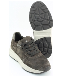 Xsensible Ponte Vecchio 33002.4 BRUIN