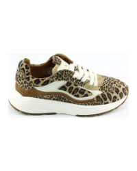 Xsensible Milau 33004.4 BRUIN MULTI