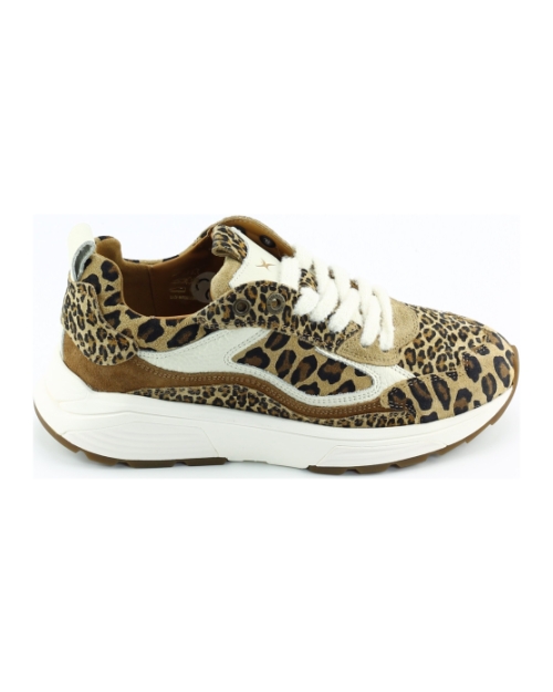 Xsensible Milau 33004.4 BRUIN MULTI