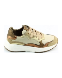 Xsensible Rainbow 33011.3 Beige