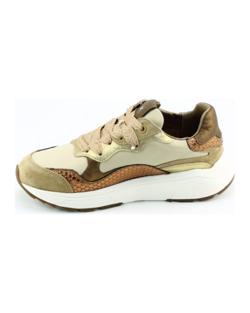 Xsensible Rainbow 33011.3 Beige