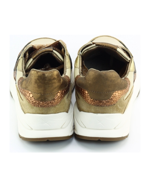 Xsensible Rainbow 33011.3 Beige
