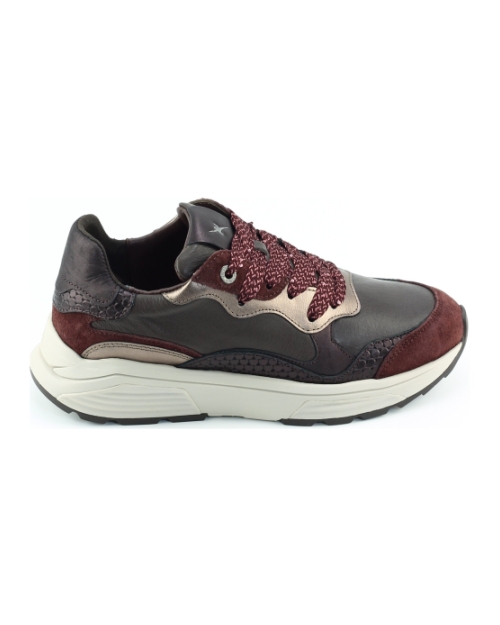 Xsensible Rainbow 33011.3 Bordeaux